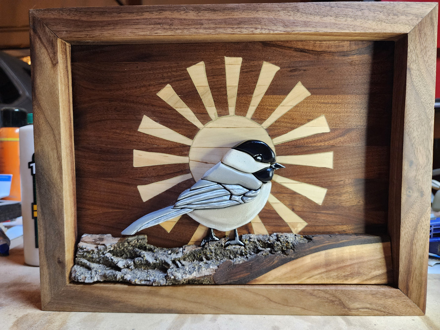 Chickadee Bird